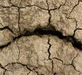 Severe Drought in the UK Raises Global Concerns Over Water Scarcity