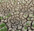 Climate Change Intensifies Extremes: Western Europe Shatters Temperature Records