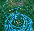 UK Enforces Hosepipe Ban Amid Severe Drought, Raising Global Water Management Concerns