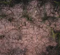 Record Heatwave in UK Sparks Global Concerns Over Climate Change Impacts