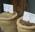 Coffee Prices Surge Globally as Poor Harvests in Brazil and Vietnam Hit Markets
