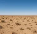 Surge in Hunger: 2.7 Million Kenyans Now Facing Food Insecurity