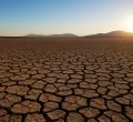 Severe Drought Impacts Farmers and Drives Up Food Prices in Kenya