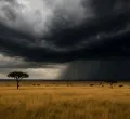Kenya Prepares for Impending El Niño Rains Amidst Heightened Public Concern