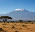 Ruto Assures Kajiado Residents of Full Control of Amboseli National Park