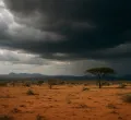 El Niño Threatens 1.5 Million in Kenya as Government Issues Urgent Warning