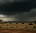 Kenya Defence Forces Tests Disaster Readiness Amid El Niño Threat