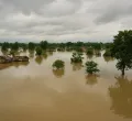Breaking: Devastating Floods in Assam, India Leave Trail of Destruction and Heartbreak