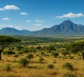New World Map Makes Africa Look Bigger: What's the Fuss About?
