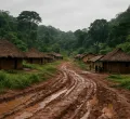 Ebola Infections Surge Past 7,000 in Democratic Republic of Congo Amid New Outbreak