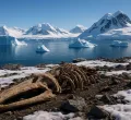 Discovery of Antarctica's First Dinosaur Fossil Sheds Light on Ancient Ecosystems