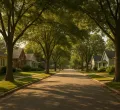 USCIS Reinstates Neighborhood Investigations for Citizenship Applicants, Impacting African Immigrants