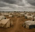 Uganda: More South Sudanese Refugees Arrested Over Imvepi Riots