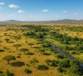 UN votes to adopt new world map to reflect Africa's true size