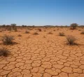 Kenya Faces Soaring Food Import Bill Amid Severe Drought Conditions