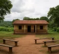 The Doctor Pressuring African Leaders to Own the Ebola Response