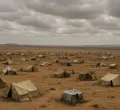 UN Alarmed as Displacement Crisis in Central Sahel Intensifies