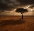 Sudan: Women Detained in Nyala, South Darfur - a Call to Protect Detainees' Rights