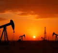 Trump hails 'historic' deal for US to control 65bn barrels of Venezuela's oil