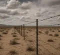 Asylum seekers caught in US immigration crackdown
