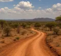 Annual Snakebite Death Toll in Kenya Reaches 1,000, Highlights Urgent Health Issue