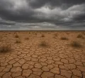 East Africa's Hunger Crisis Nears Catastrophic Levels as Food Insecurity Worsens