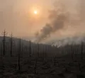 At least 12 dead as wildfires sweep through northern Algeria