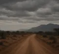 Tragic Ambush in Isiolo: Five Lives Lost, Including Two Police Officers