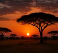 Kenya's Tourism CS Miano Dismisses Claims of Attack as 'Fake'
