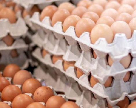 Kenya Moves to Scrap Excise Duties on Imported Eggs, Onions, and Potatoes