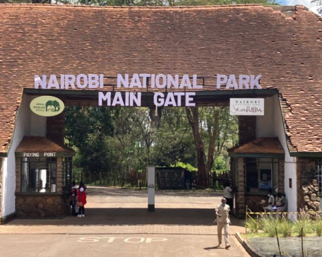 KWS Plans Free Entry to Parks for Elderly, Children, and Registered Guides