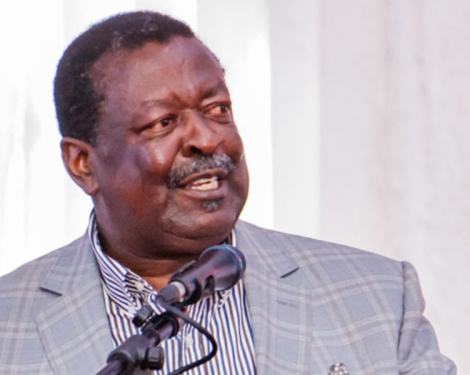 Mudavadi Warns Diaspora: Respect Foreign Laws and Mind Your Online Presence