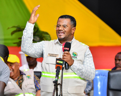 UDA Pledges to Continue Raila’s Legacy Through Full NADCO, 10-Point Agenda Implementation