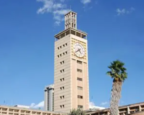 Kenyans in diaspora Seek Own MPs, Senators and Online Voting for 2027