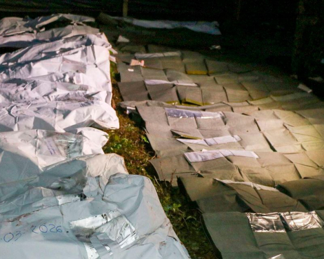 Who Were the Victims? Mystery Surrounds Kericho Mass Grave Discovery