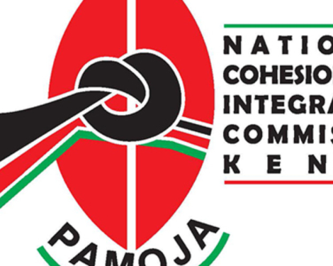 Revealed: Kenya’s Most Tribal Public Universities