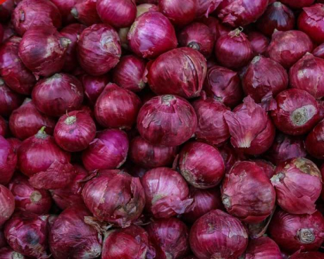 How Onion Farming Can Make You a Millionaire