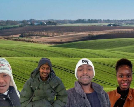 Young Kenyans Earning Up to Sh680,000 on Danish Farms