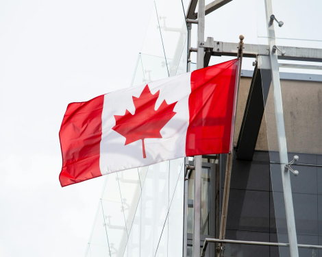Kenyan Professionals in Canada: Navigating Global Developments and Opportunities