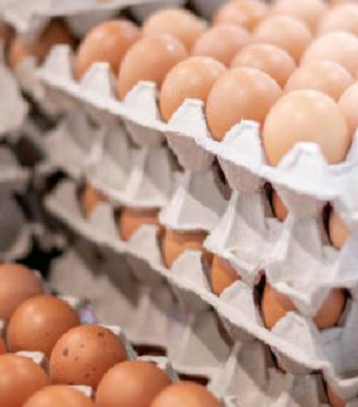 Kenya Moves to Scrap Excise Duties on Imported Eggs, Onions, and Potatoes