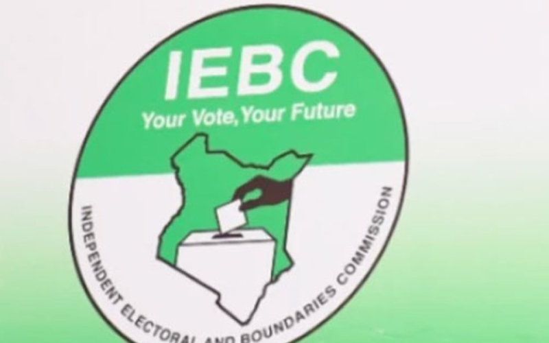 Ruto, Raila Allies Among IEBC Nominees, Opposition Demands Transparency