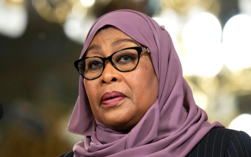 Tanzanian President Suluhu Warns Kenyan Activists Against Meddling in National Affairs