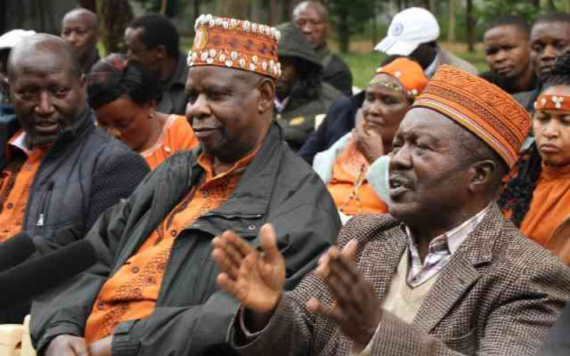 Kikuyu Elders Urge Ruto to Accept Criticism and End Police Brutality