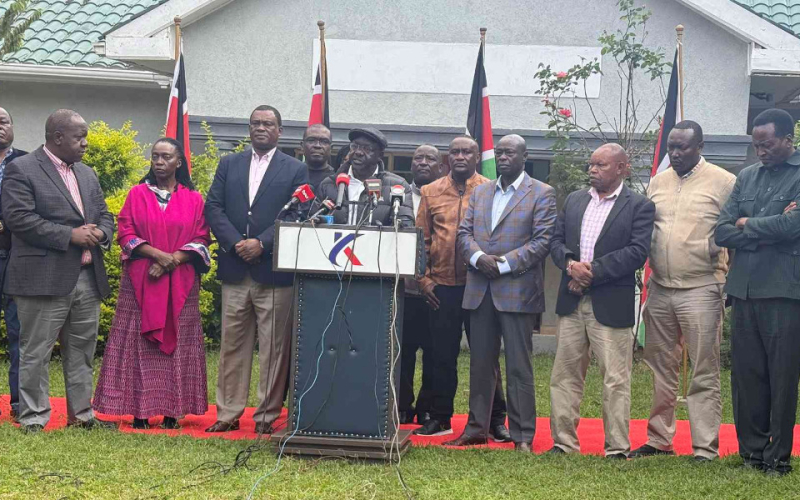 Opposition Urges Kenyans to Boycott Pro-Government Firms