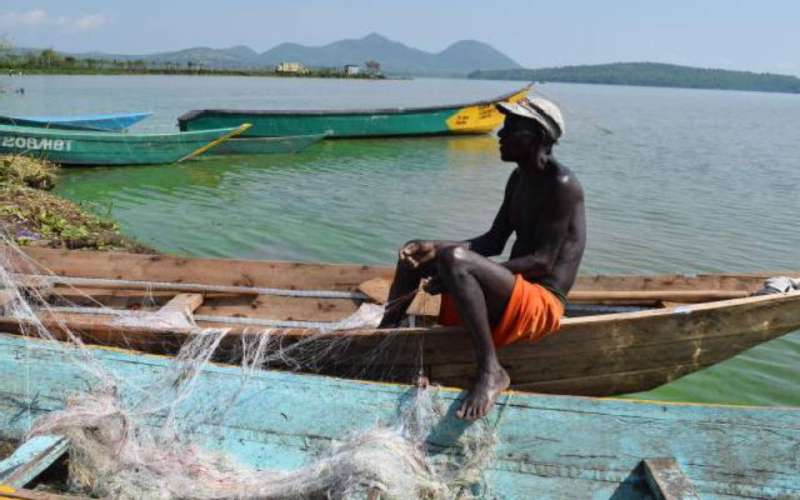 The Hidden Threat That Could Wipe Tilapia Off East African Menus