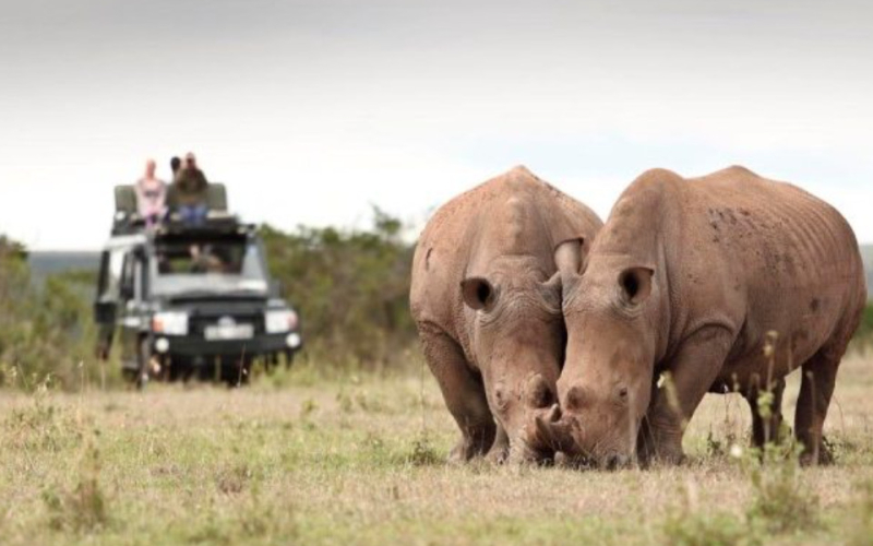 KWS Seeks to Raise National Park Fees by 50%