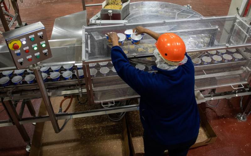 US Workers Say Immigration Crackdown Is Causing Labour Shortages