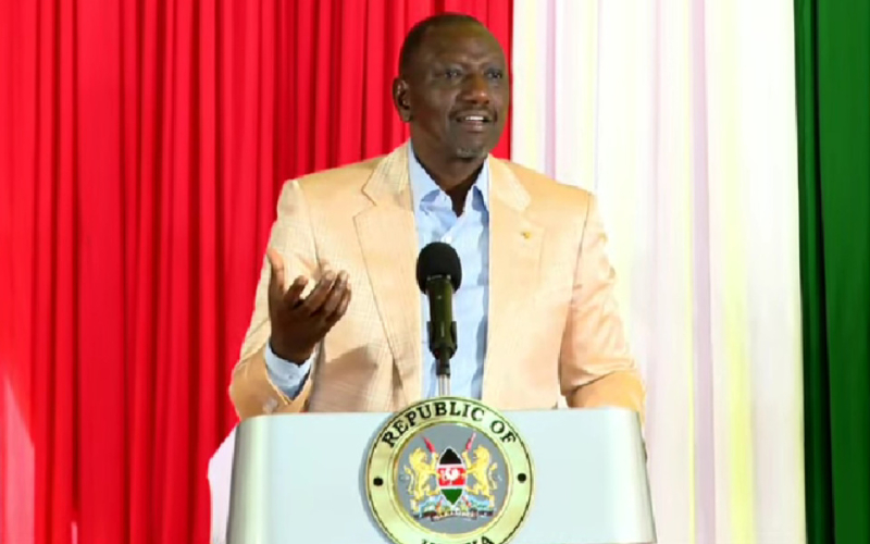 Ruto Claims Raila’s Presidency Would Mirror His Reform Agenda