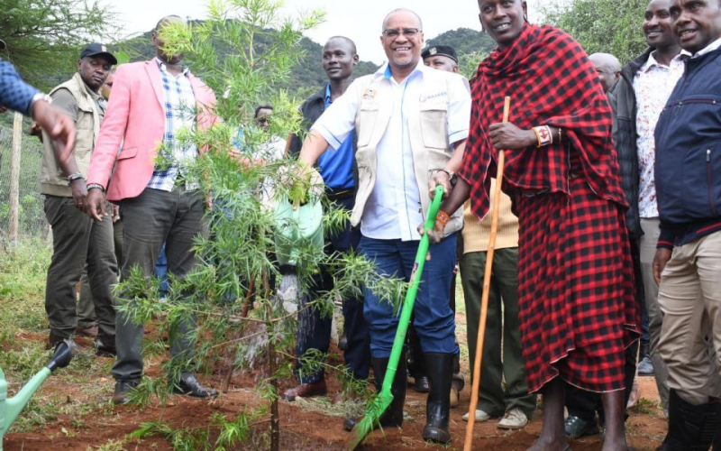 Kenya’s Ambitious Plan to Plant 15 Billion Trees by 2032