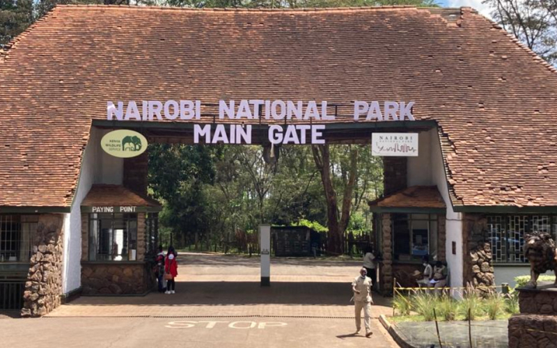 KWS Plans Free Entry to Parks for Elderly, Children, and Registered Guides